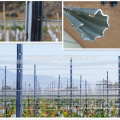 Metal trellis grape stakes galvanized vineyard post